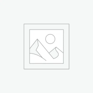 Web Services